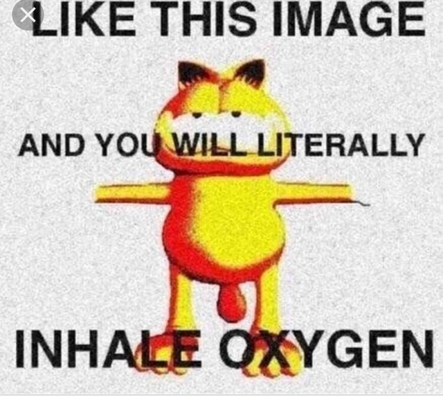 I wish it was die