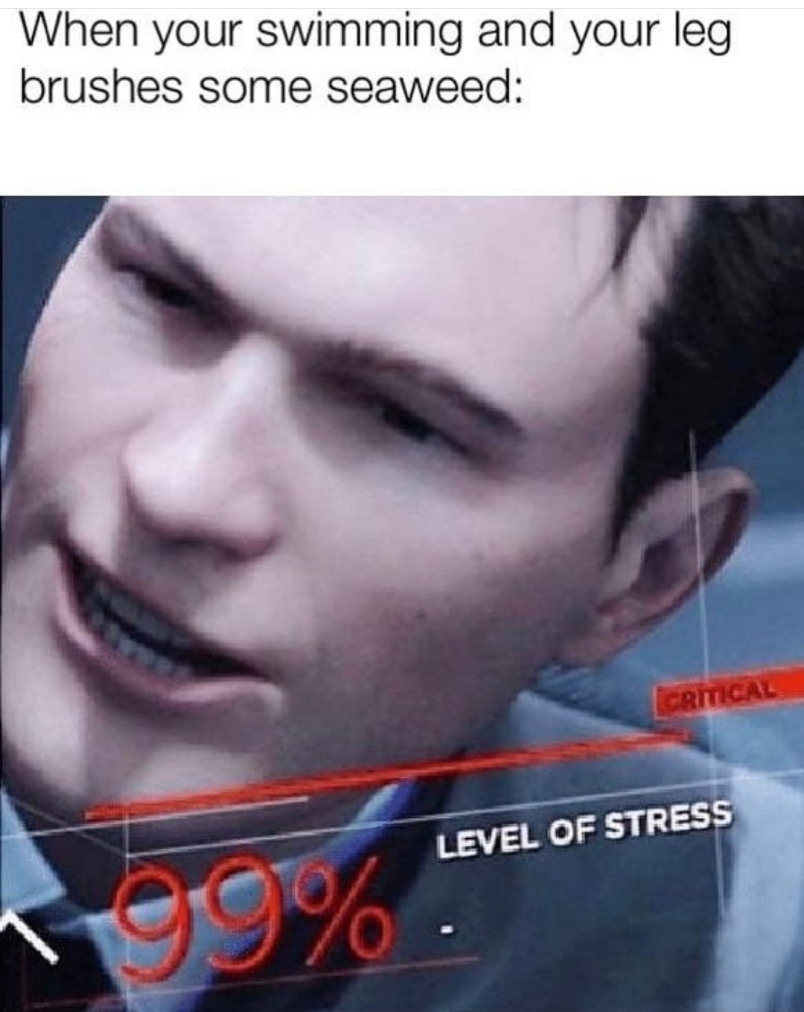 It's definitely Jaws