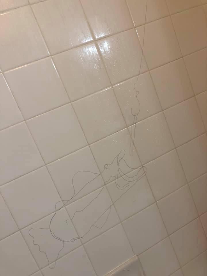 Hair on a shower wall