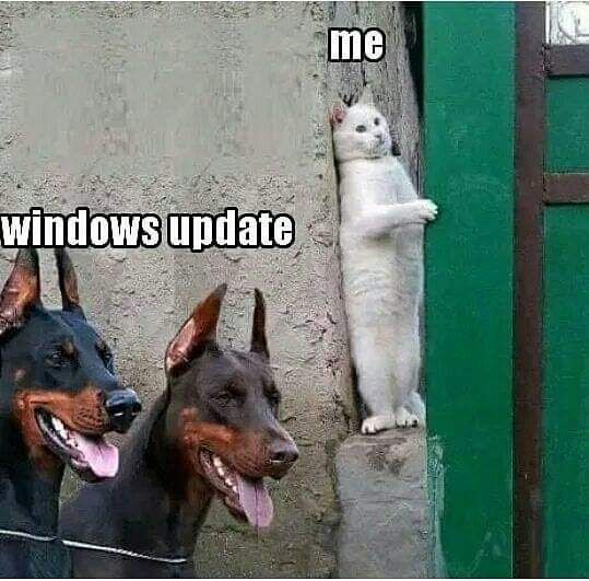 Are you afraid of windows updates?