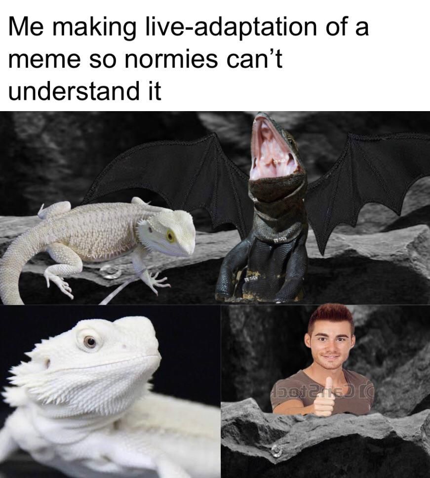 Too meta for me to understand