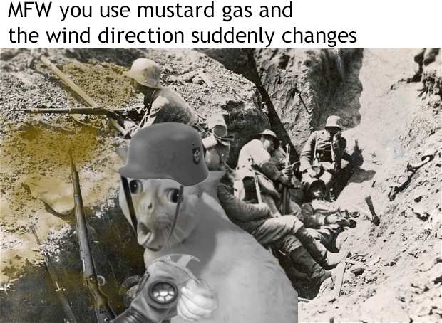 ( ´･ω･)