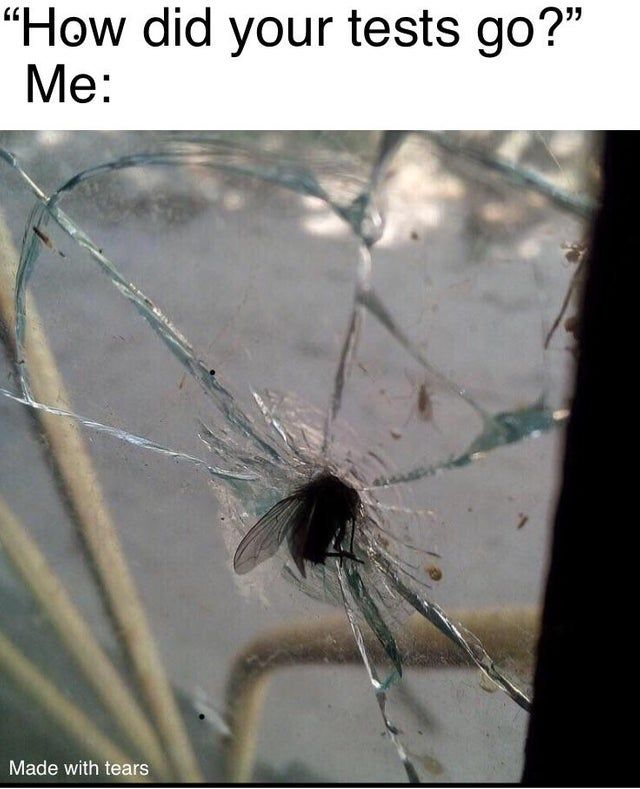 yeah, yeah