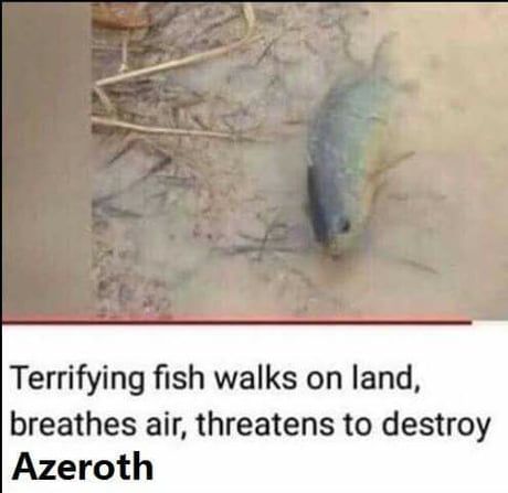 Praise the fish daddy