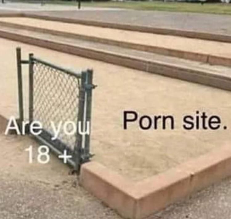Basically every porn site