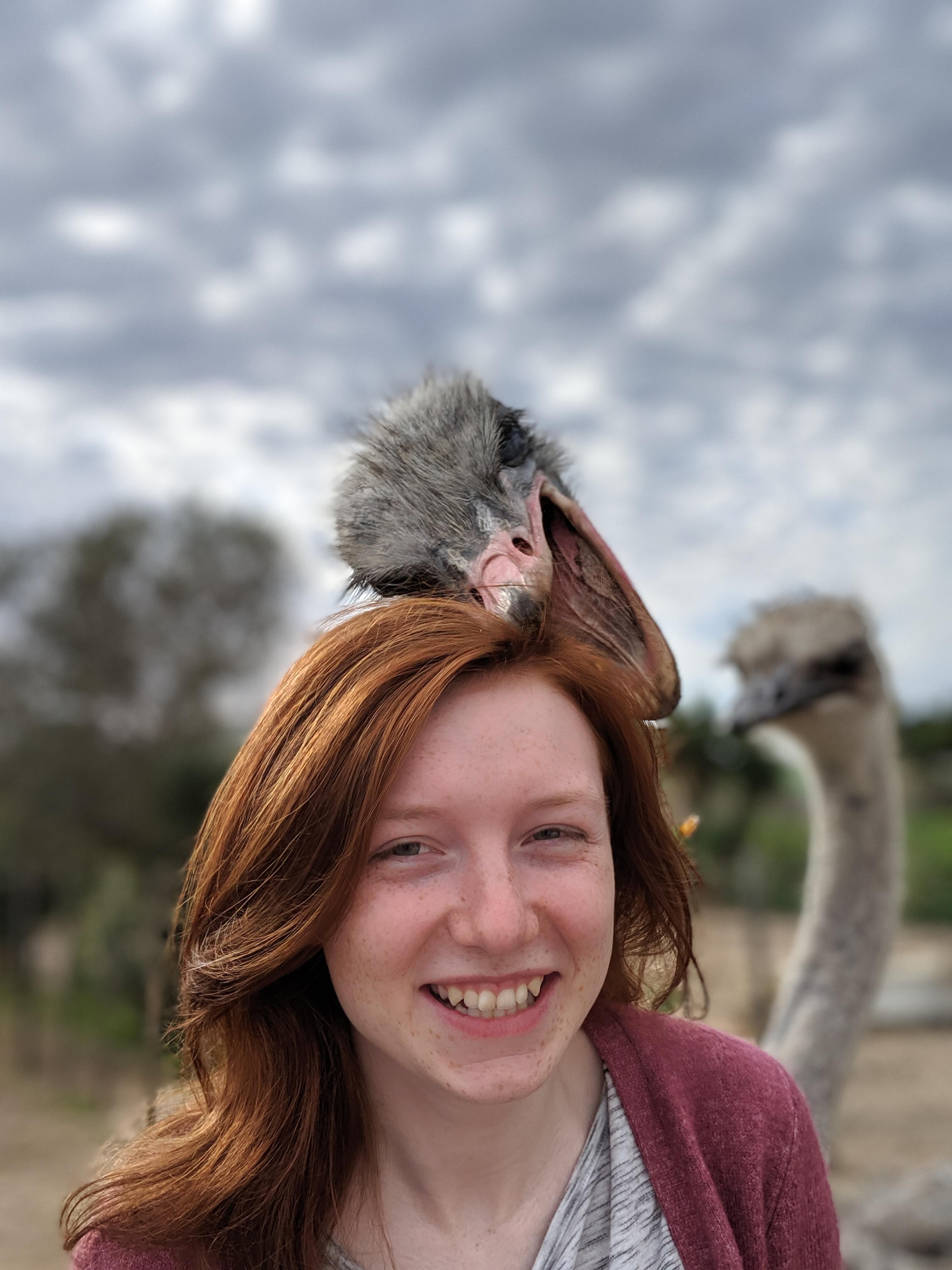 My wife's first ostrich encounter.