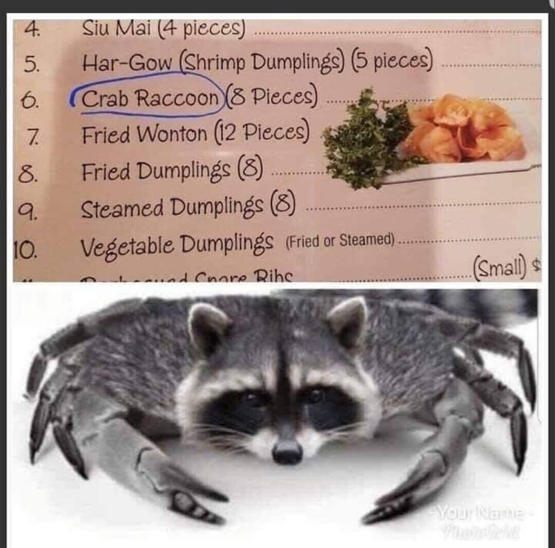 Crabcoon?
