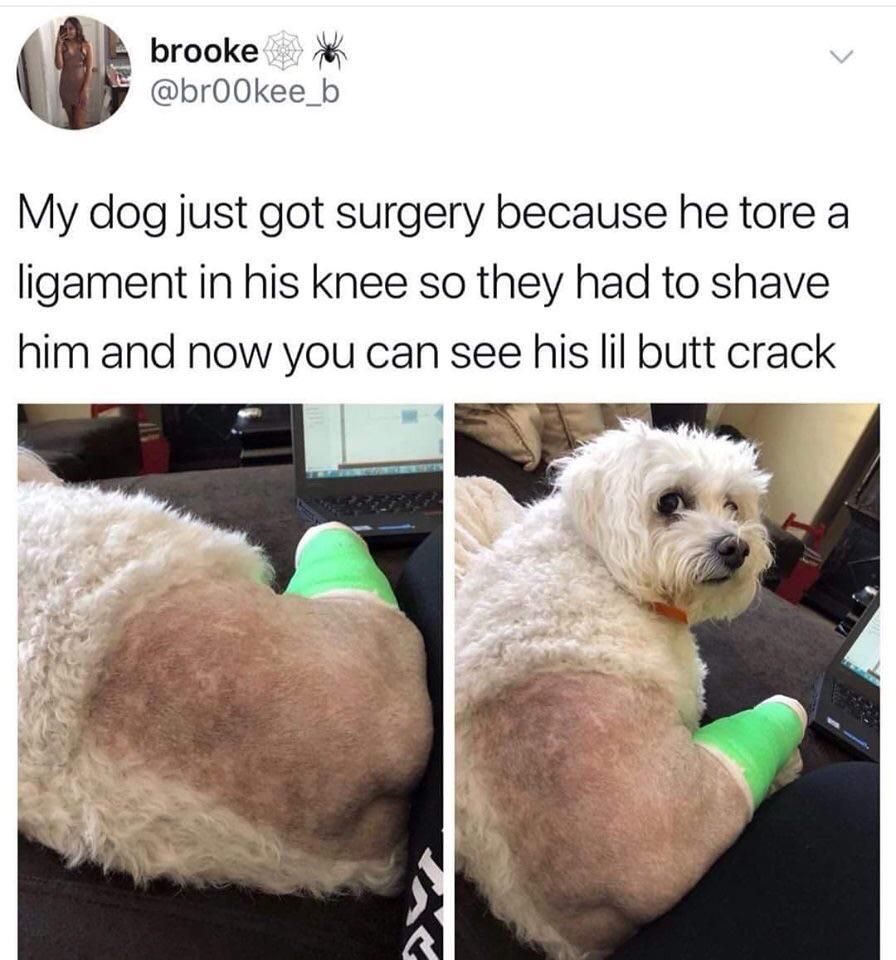 Lil butt crack