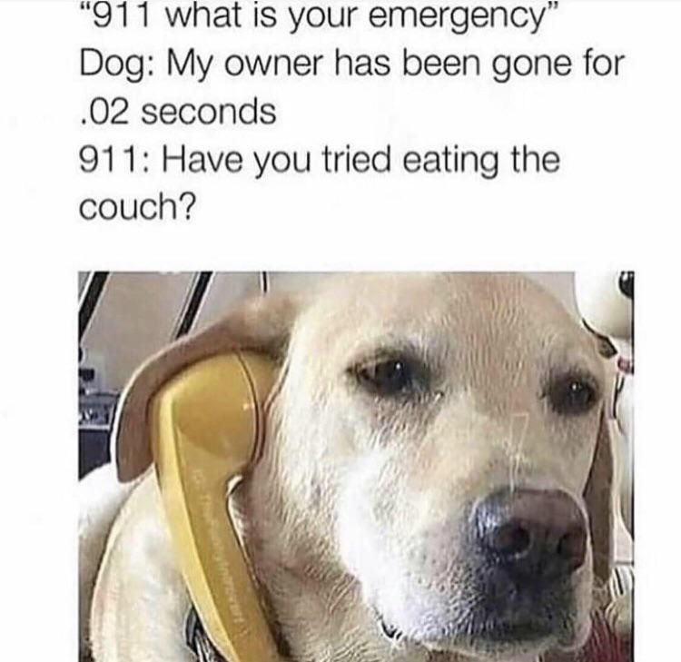 Doggy calls