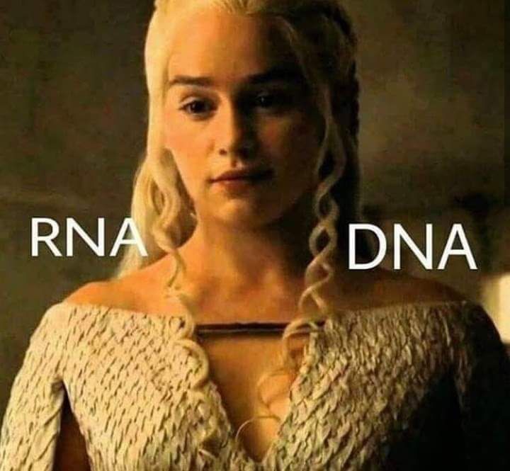 DNAenerys