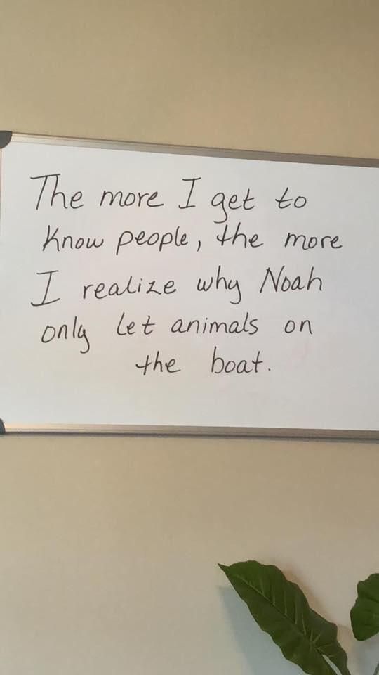 Noah figured it out