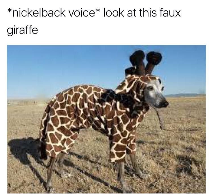 dick horns