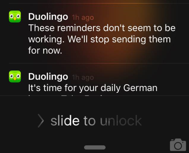 Nice knowing you, guys, I think I am going to die soon