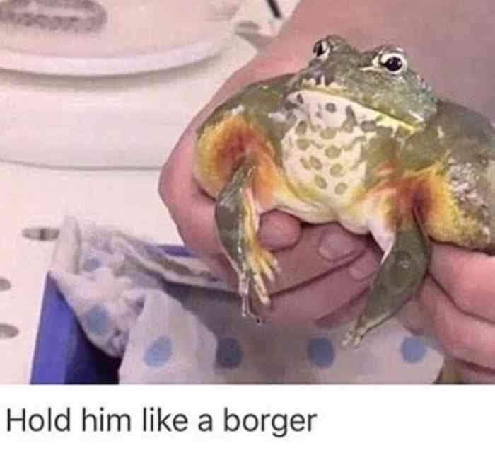 Hold frug