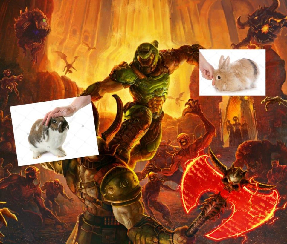 Pet and pet (R.I.P Daisy)