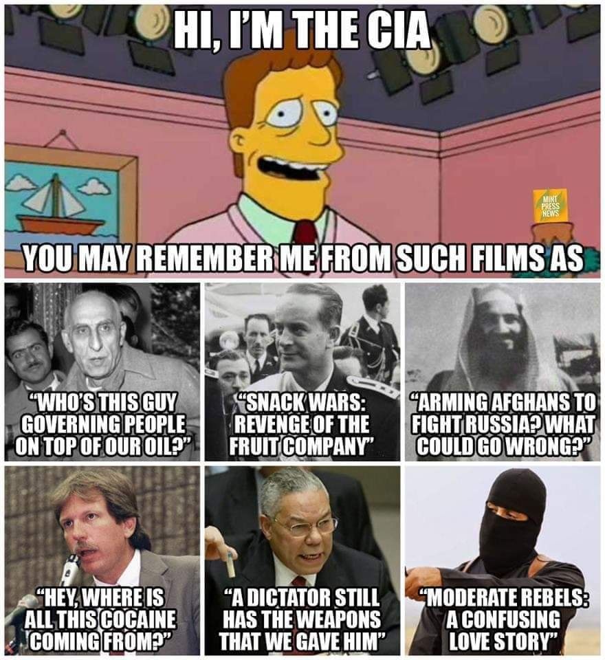 THE NICE CIA