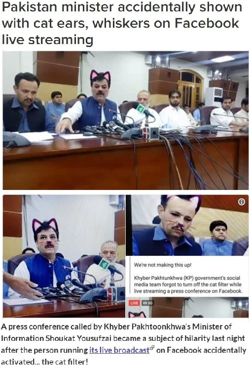 Politic is super serious
