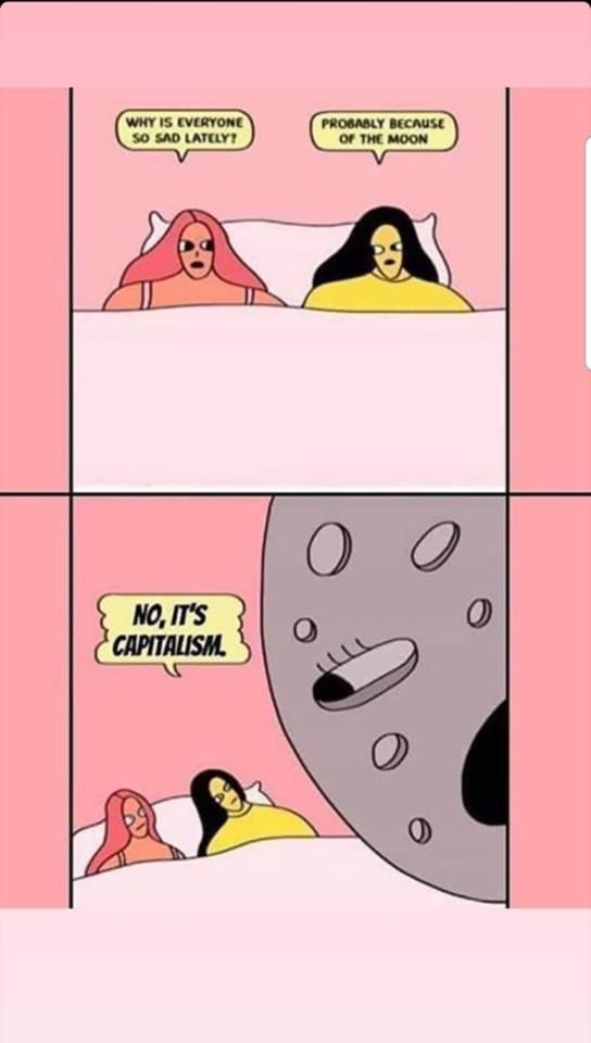 DONT BLAME THE MOON