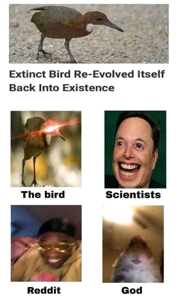 There's no stopping them