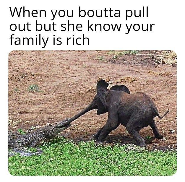 ***ing thots