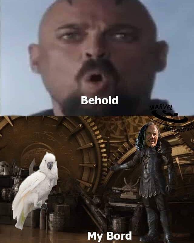 boid