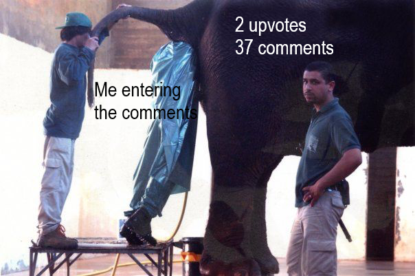 toxic somment section