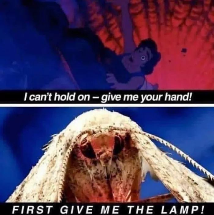 Lamp!