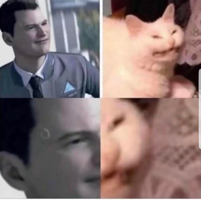 REEEEE