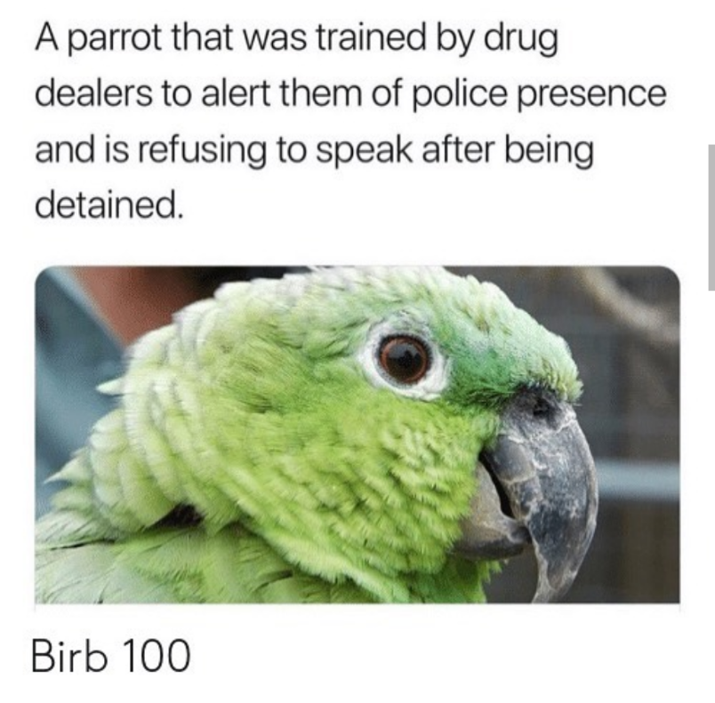 His name is Iago