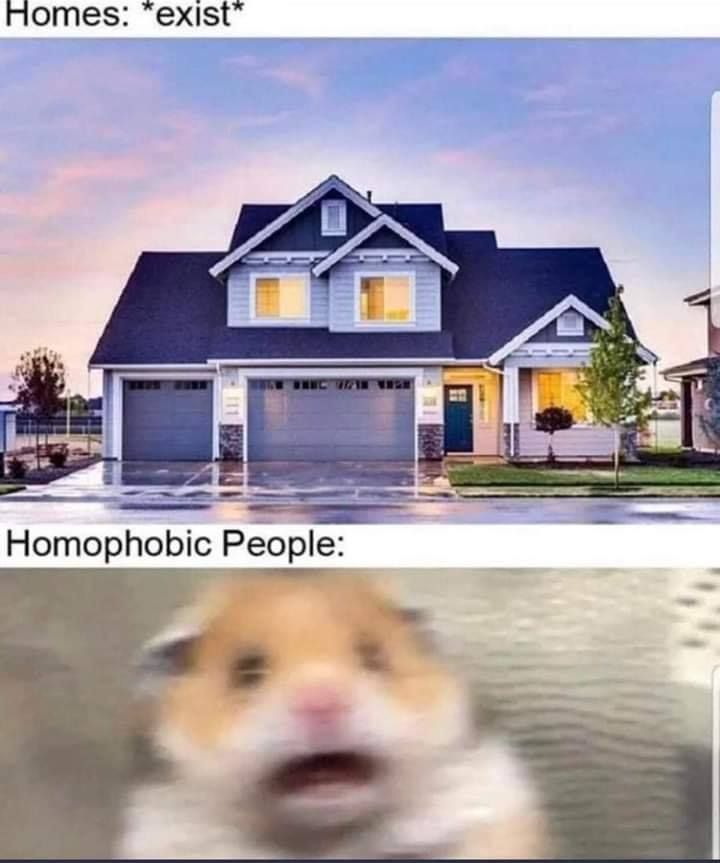DAMN HOMES