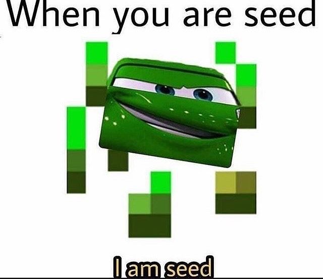 he is seed