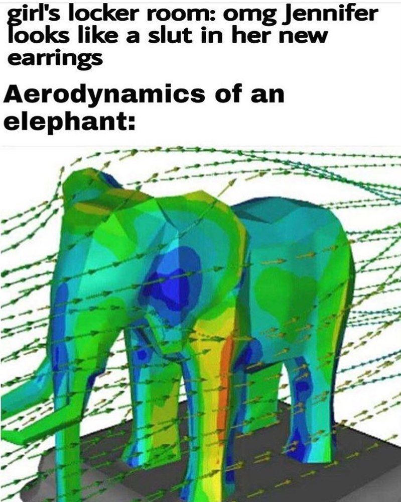 What about two elephants ?