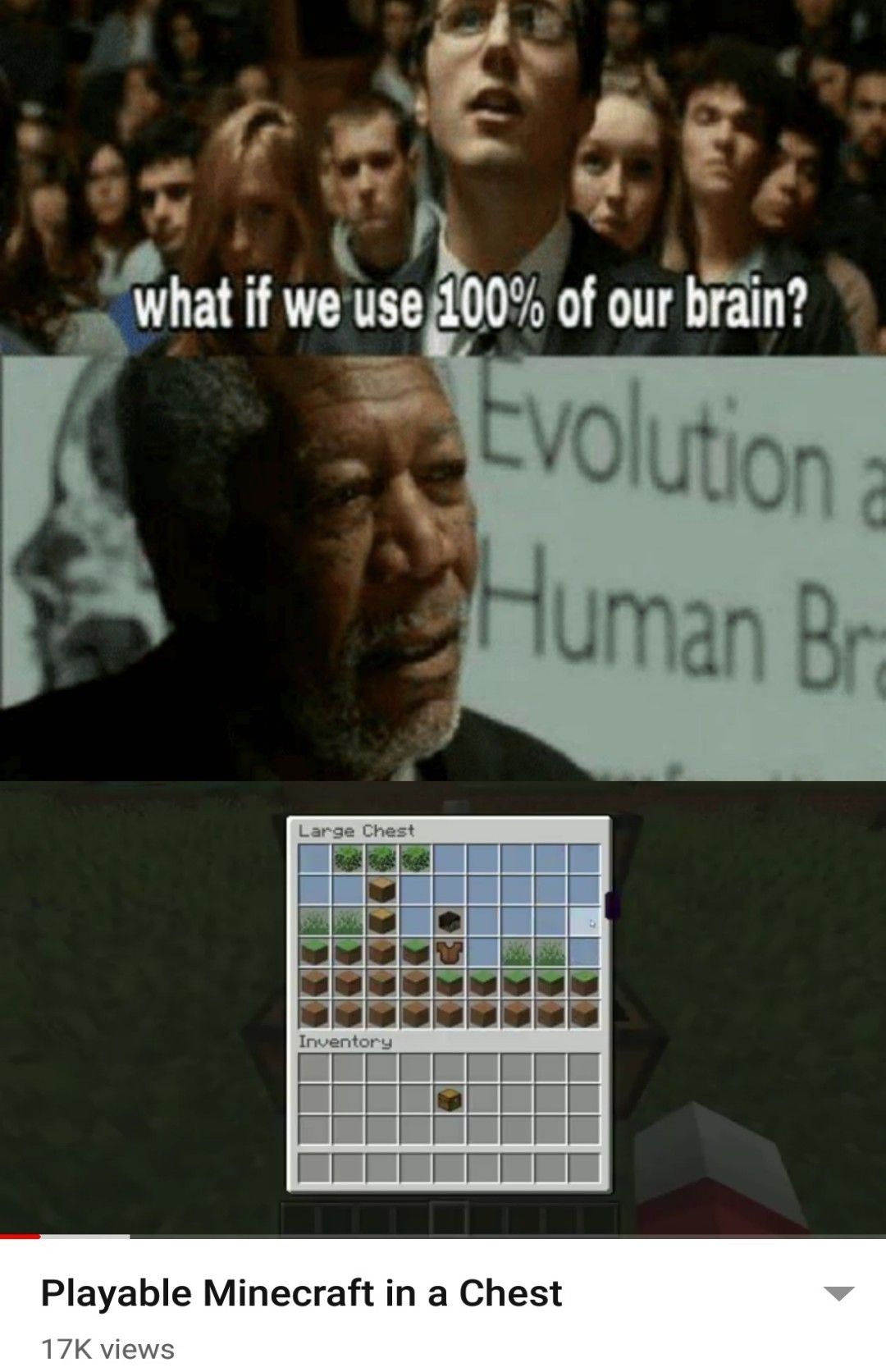 Modders are an entirely different species