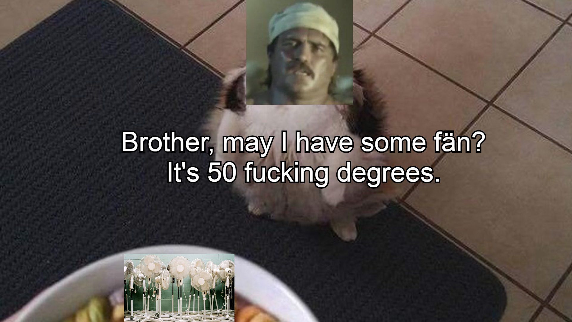 masks aint workin chief