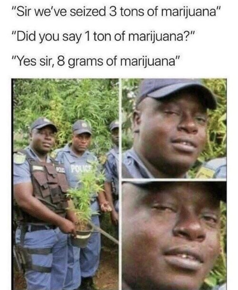 Sir, we've lost all the marijuana