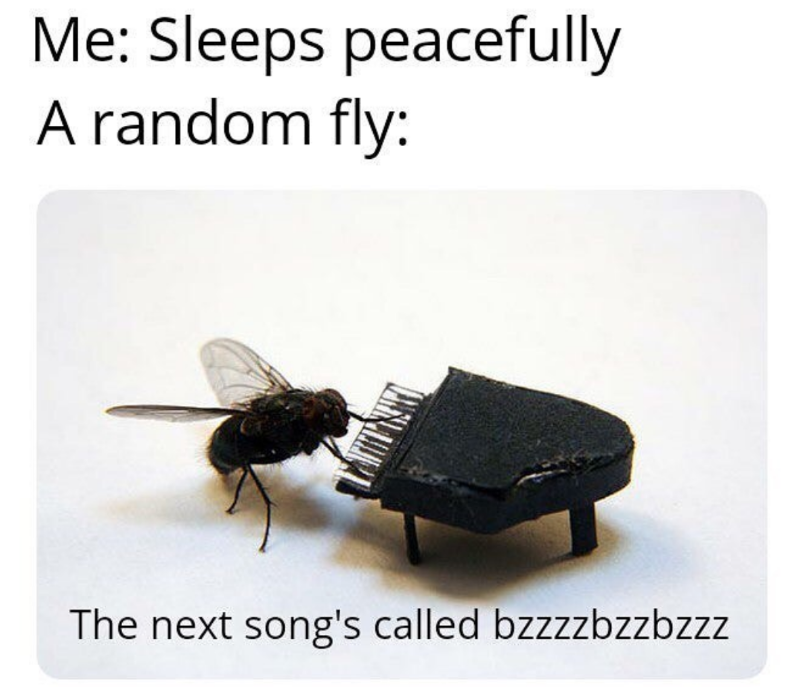 Amazing song