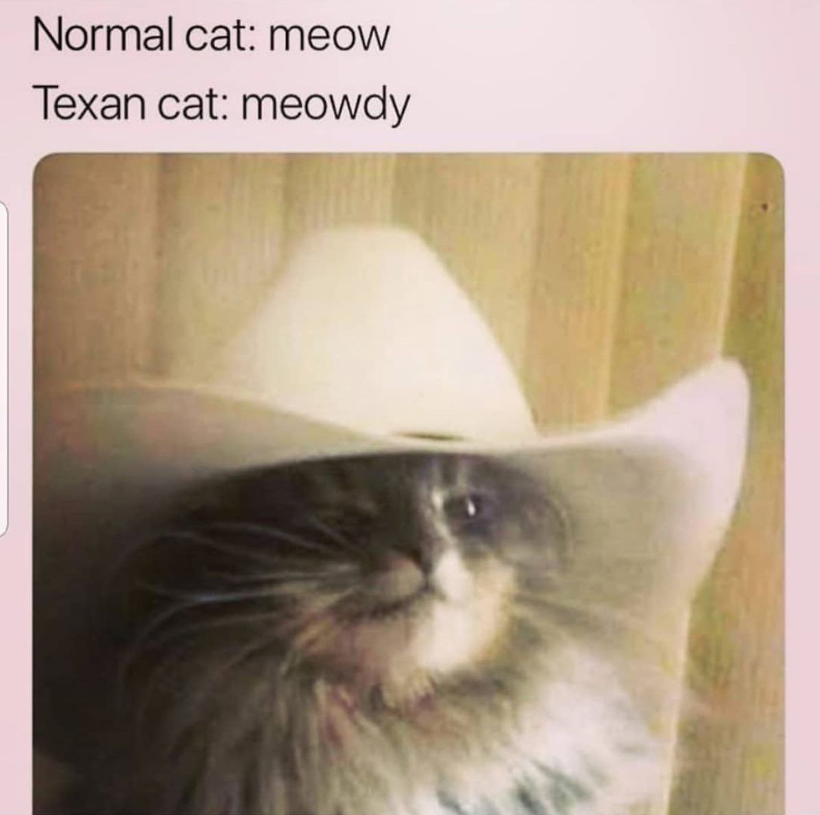 How do ye fellas?