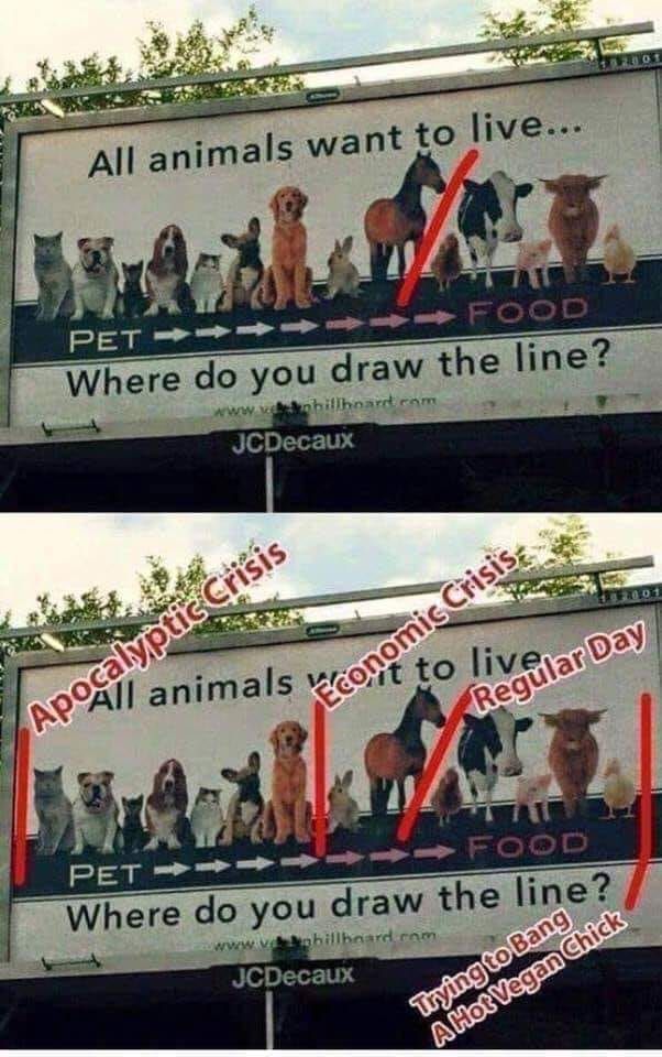 All animals want to live..