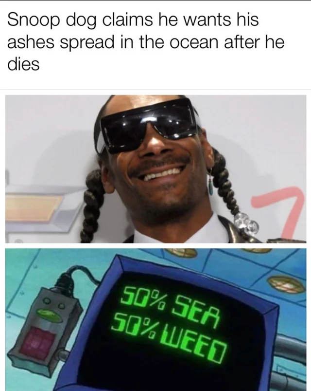 nice