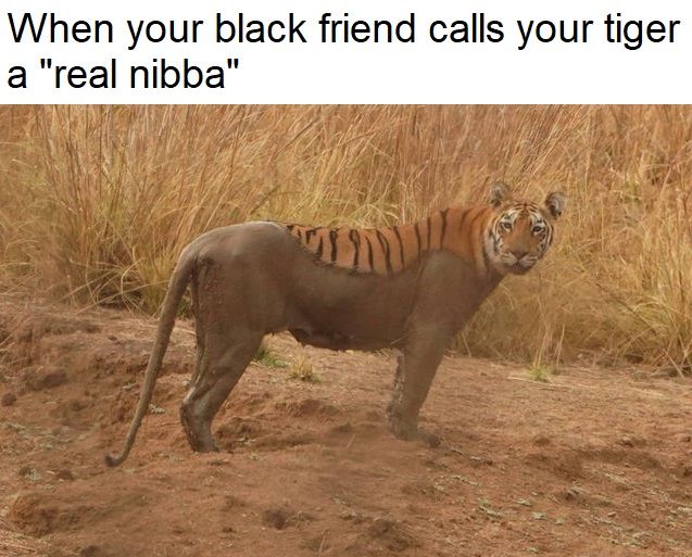 yeah thanks Thyrone, I didn't like his colours anyway