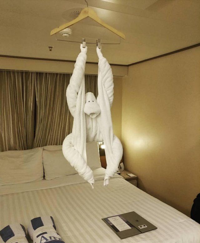 This towel monkey in a cruise ship!!