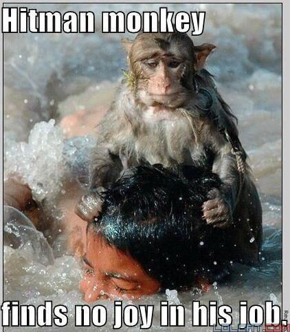 Poor monkey