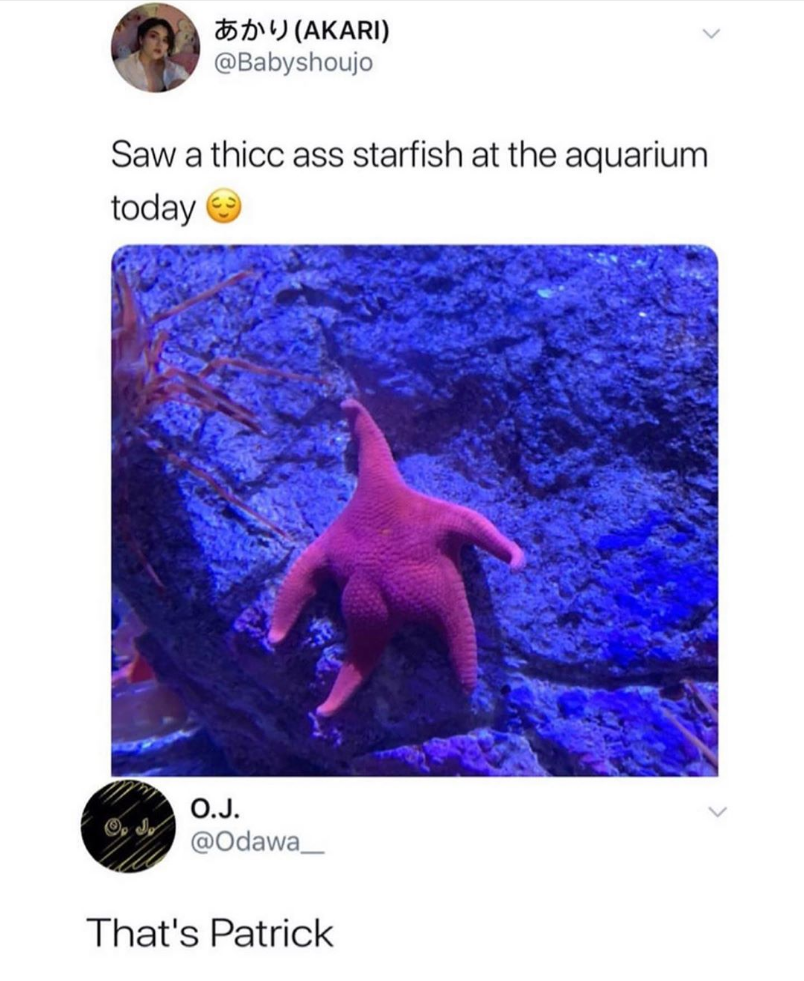 Dummy thicc