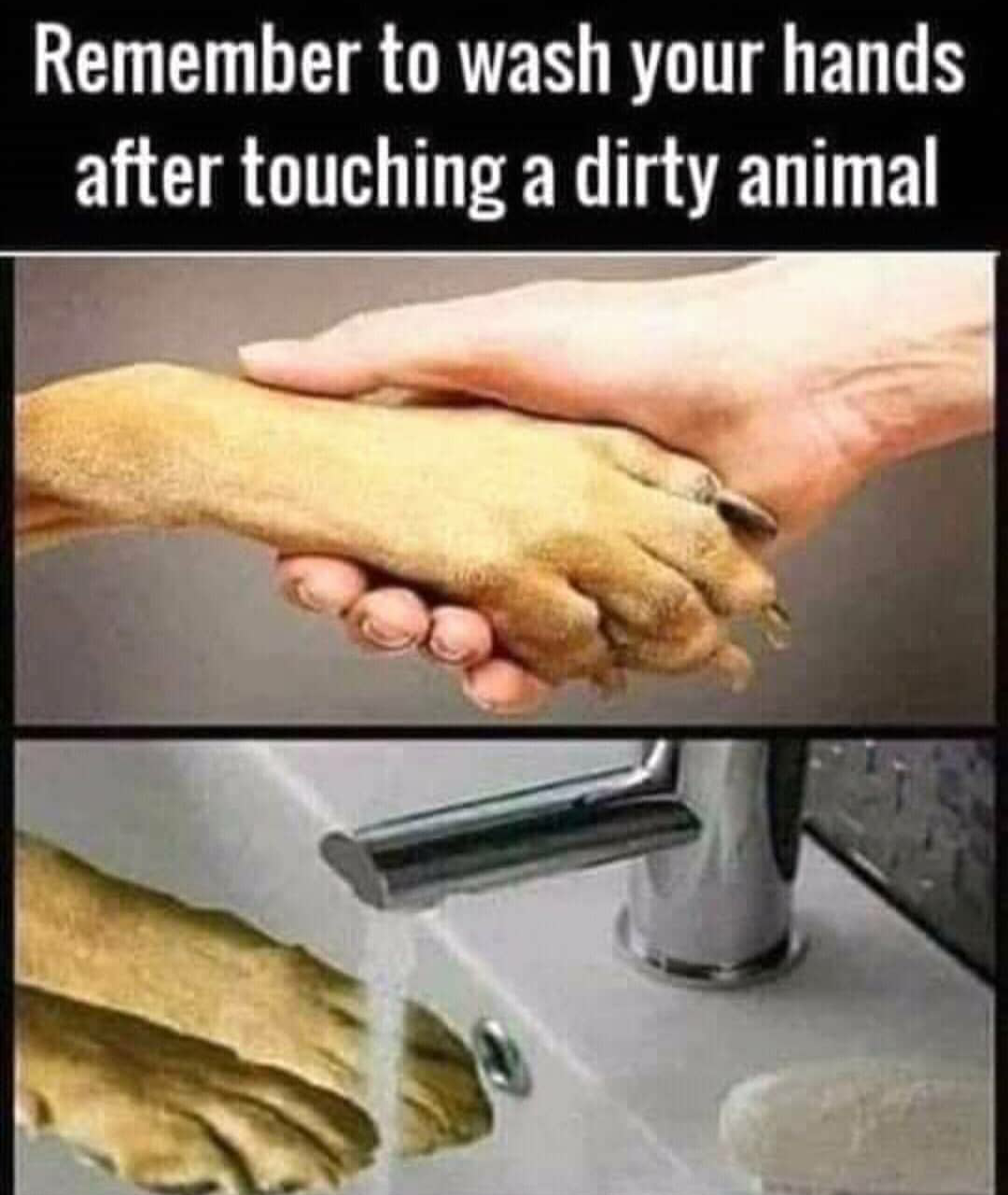 Dirty humans dirty