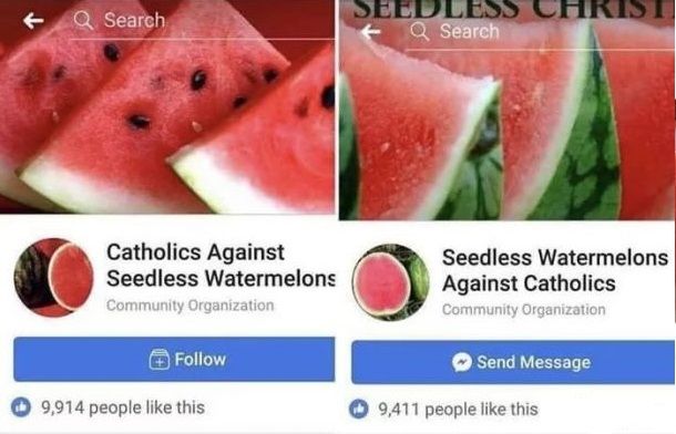 Choose your fighter