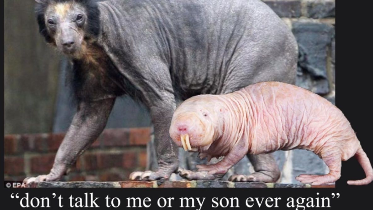 Pls don't disrespect Mrs. PETA