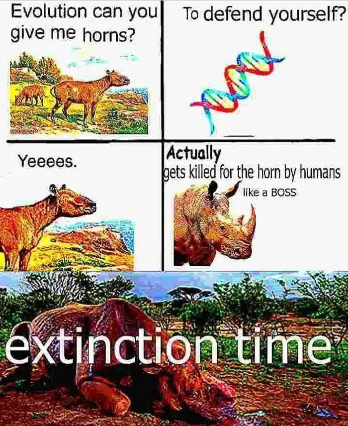 My time is now