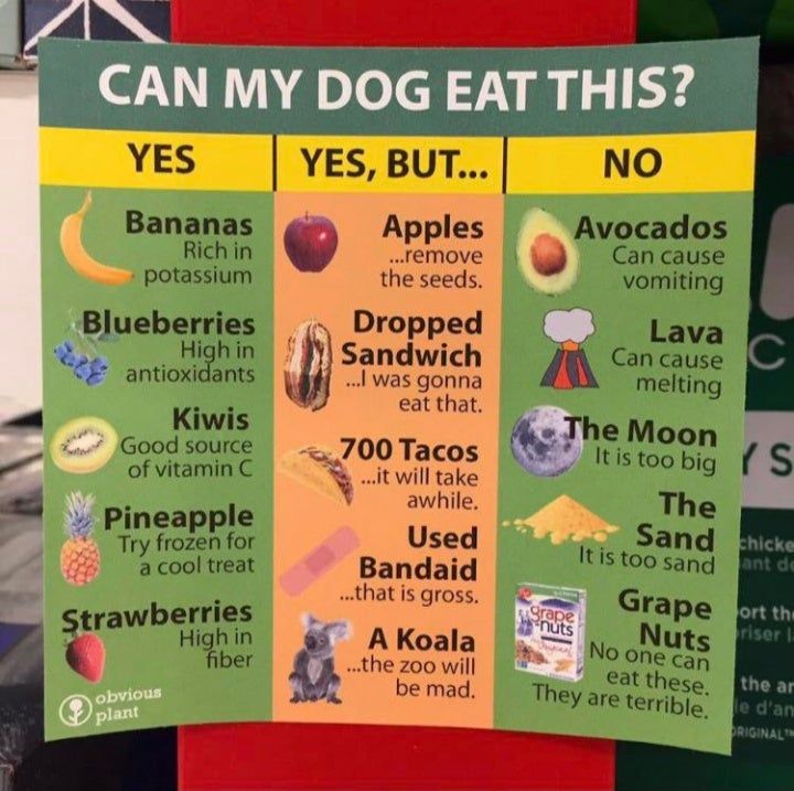 Helpful food chart for dogs