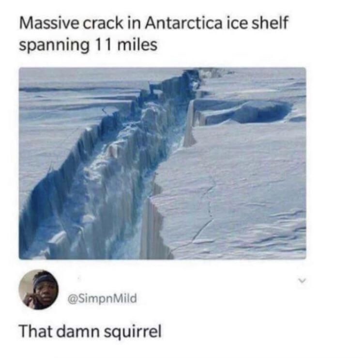 Jesus christ squirrel