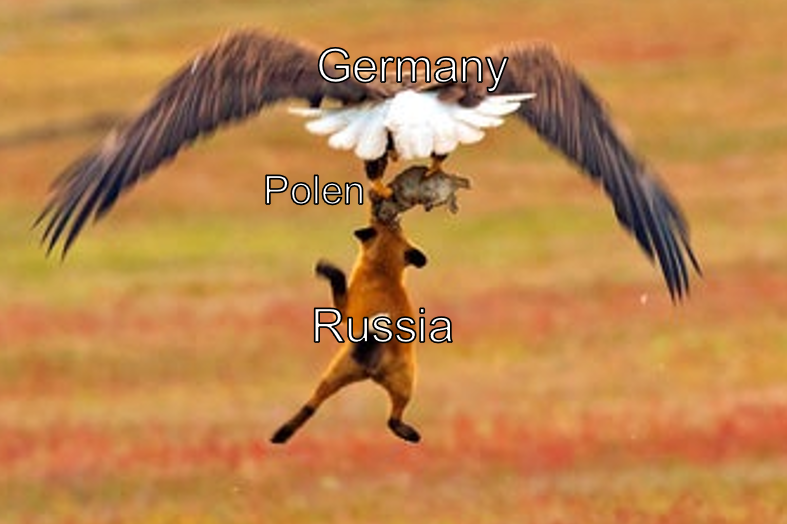 kurwa